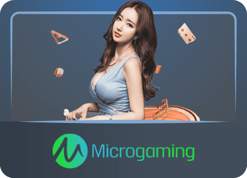 WB403 MicroGaming Casino